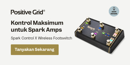 Positive Grid Spark Control X Wireless Footswitch | Swee Lee Indonesia