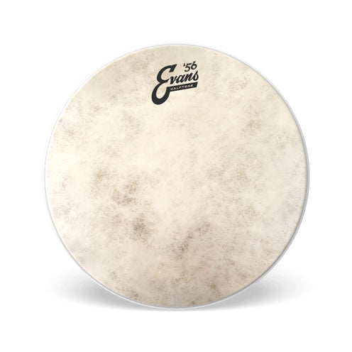Evans TT16C7 16inch Calftone Tom Drumhead