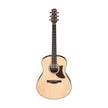 Ibanez AAM50-OPN Acoustic Guitar, Open Pore Natural