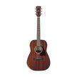 Ibanez PF14JR-OPN Acoustic Guitar w/Bag, Open Pore Natural