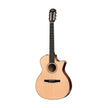 Taylor 314ce-N Grand Auditorium Nylon String Acoustic Guitar w/Case