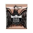 Ernie Ball Paradigm Medium Phosphor Bronze Acoustic Guitar Strings, 13-56