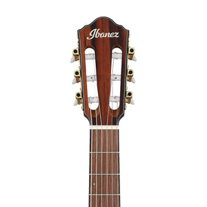 Ibanez FRH10N-BSF Acoustic-Electric Guitar, Brown Sunburst Flat