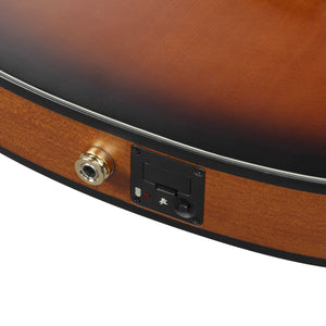 Ibanez FRH10N-BSF Acoustic-Electric Guitar, Brown Sunburst Flat
