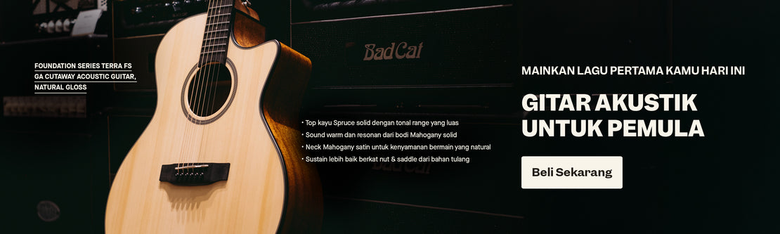 Beginner Acoustic Guitars | Swee Lee Indonesia