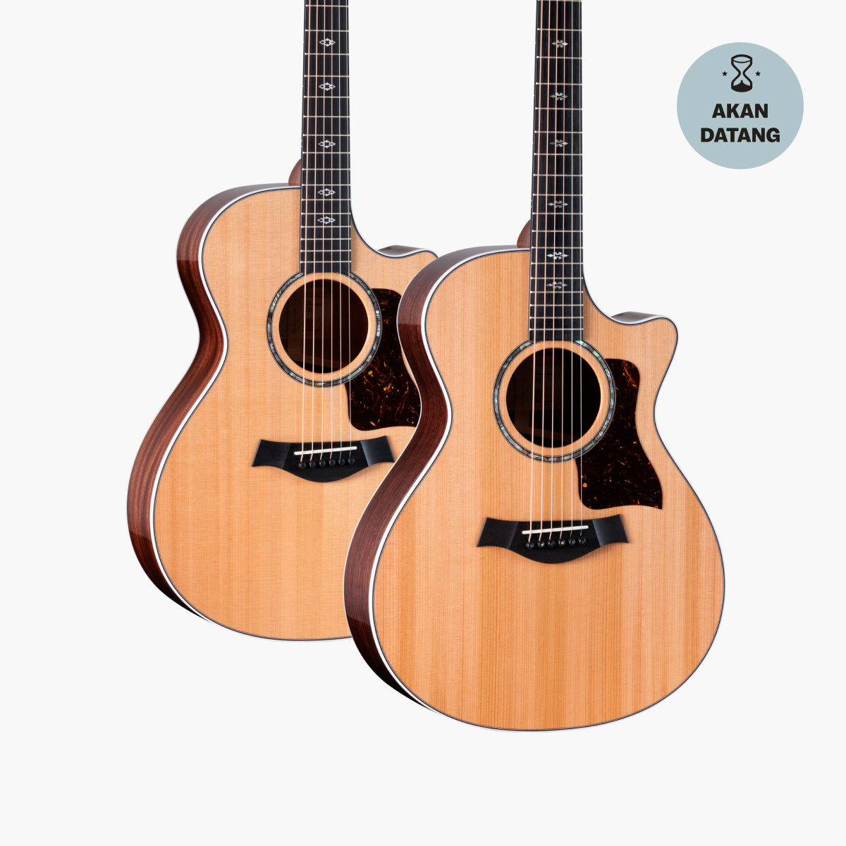 Taylor Next-Gen 512ce & 712ce Acoustic Guitars | Swee Lee Indonesia