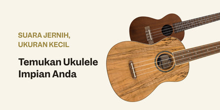 Ukuleles | Swee Lee Indonesia