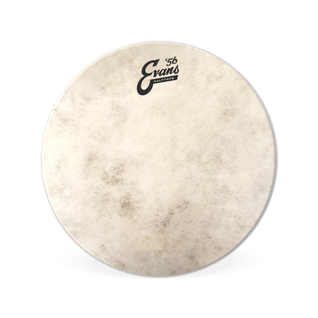 Evans TT10C7 10inch Calftone - Tom