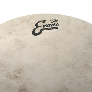 Evans TT10C7 10inch Calftone - Tom
