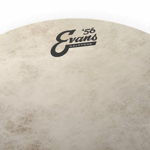 Evans TT16C7 16inch Calftone Tom Drumhead