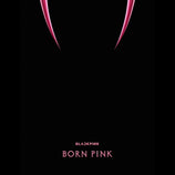 Born Pink (Black Ice Vinyl) - Blackpink (Vinyl) (BD)