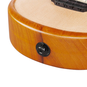 Ibanez AUC10E-OPN Ukulele w/Gig Bag, Open Pore Natural