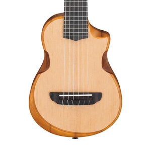 Ibanez AUP10N-OPN Ukulele w/Gig Bag, Open Pore Natural