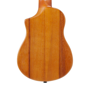 Ibanez AUP10N-OPN Ukulele w/Gig Bag, Open Pore Natural