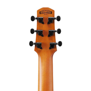 Ibanez AUP10N-OPN Ukulele w/Gig Bag, Open Pore Natural