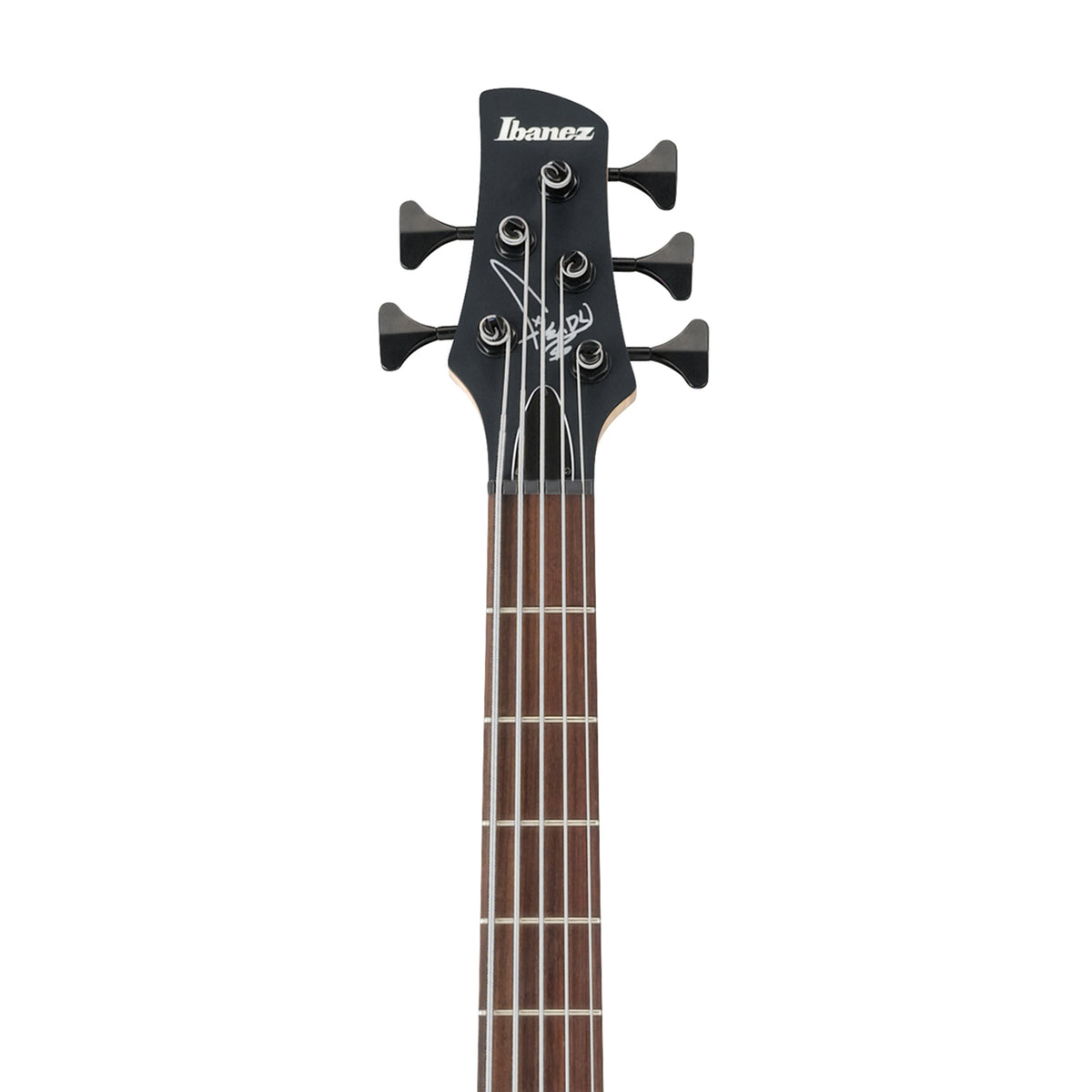 沢*耶様 Ibanez signature model fieldy K5-BK Ibanez K5 Fieldy Signature 5-String Electric Bass Guitar Flat
