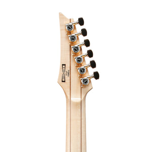Ibanez PGM50 Paul Gilbert Signature Electric Guitar, Black