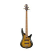 products_2FI01-SR4500-DST_2FI01-SR4500-DST_1739776642960.jpg