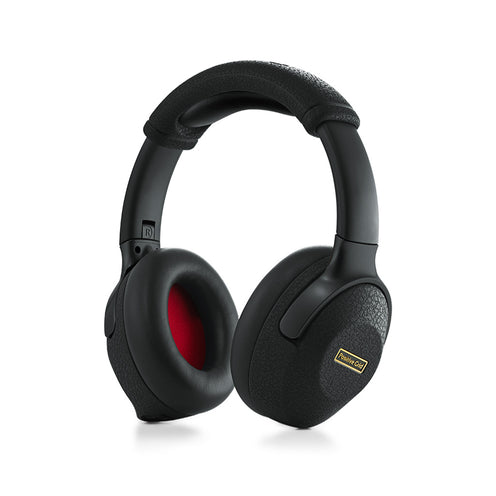 Positive Grid Spark Neo Core