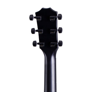 Taylor 214ce Deluxe Grand Auditorium Acoustic Guitar, Trans Blue Top