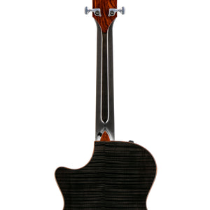 products_2FT25-C12CE-12FRET-B5049_2FT25-C12CE-12FRET-B5049_1759389782655.jpg