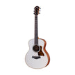 products_2FT25-GS-MINI-E-SPECIAL-EDITION-TW_2FT25-GS-MINI-E-SPECIAL-EDITION-TW_1733448472170.jpg