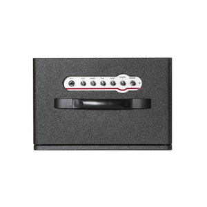 ZT Custom Shop Lee Ranaldo Club Amp (B-Stock)