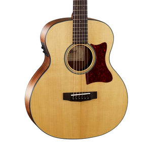 Cort Little-CJ-Walnut-OP Acoustic Guitar, Open Pore