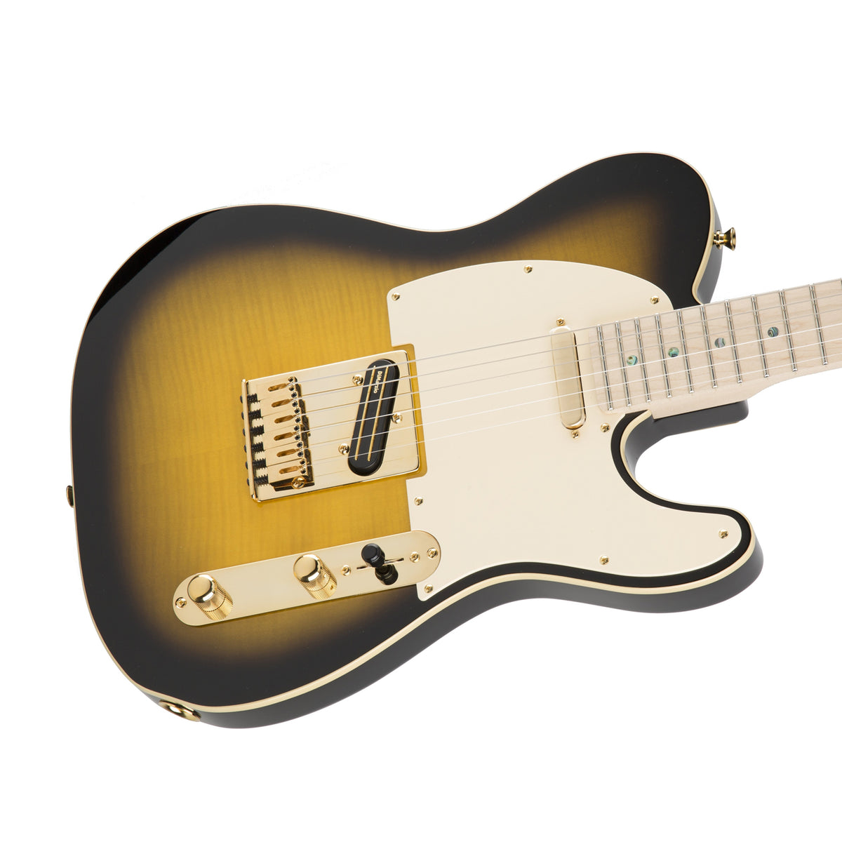 Fender Japan Ritchie Kotzen Signature Telecaster Electric Guitar