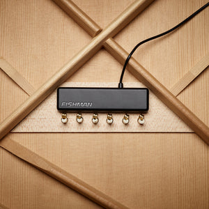 Fishman PowerTap Earth Body Sensor w/Soundhole Pickup