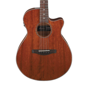 Ibanez AEG220-LGS Acoustic-Electric Guitar, Natural Low Gloss