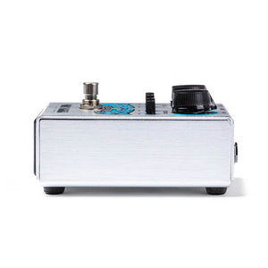 Way Huge WHE702S Echo-Puss Analog Delay Guitar Effects Pedal