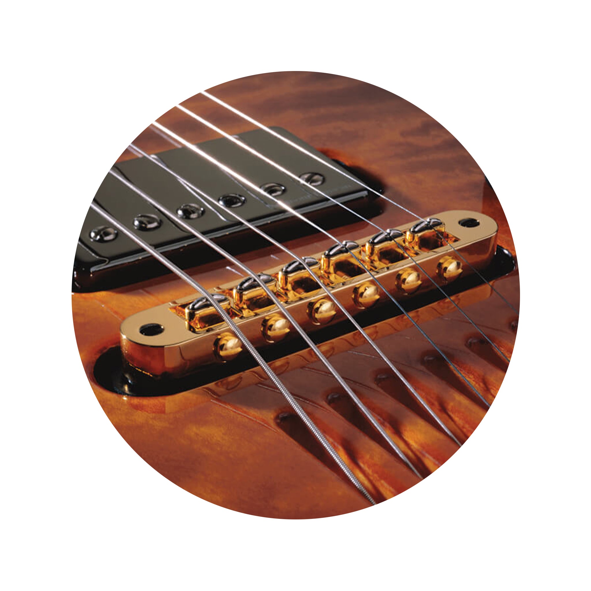 LR Baggs T-Bridge Tune-O-Matic Piezo Bridge Pickup, Black