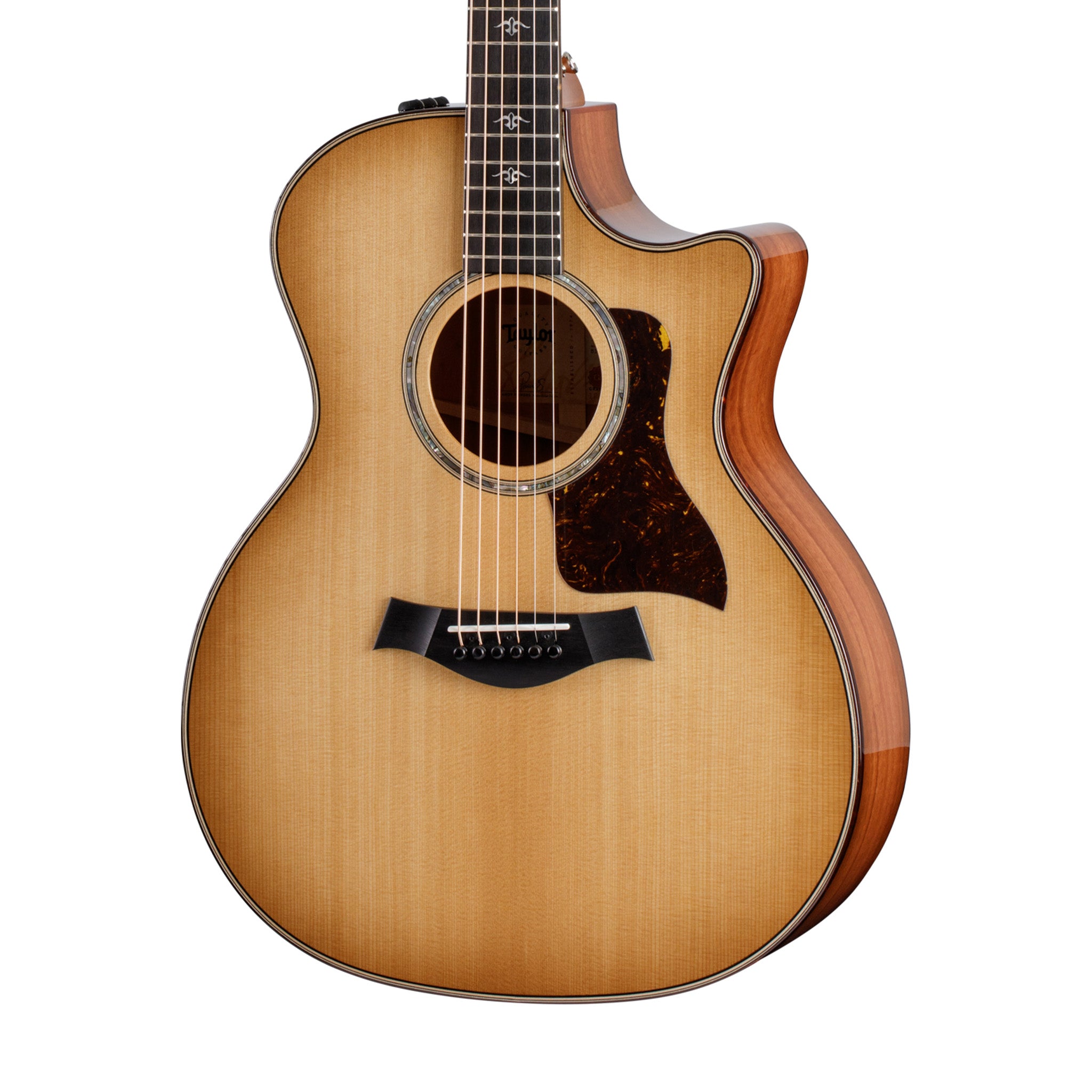 Taylor 514ce Urban Ironbark V-Class Grand Auditorium