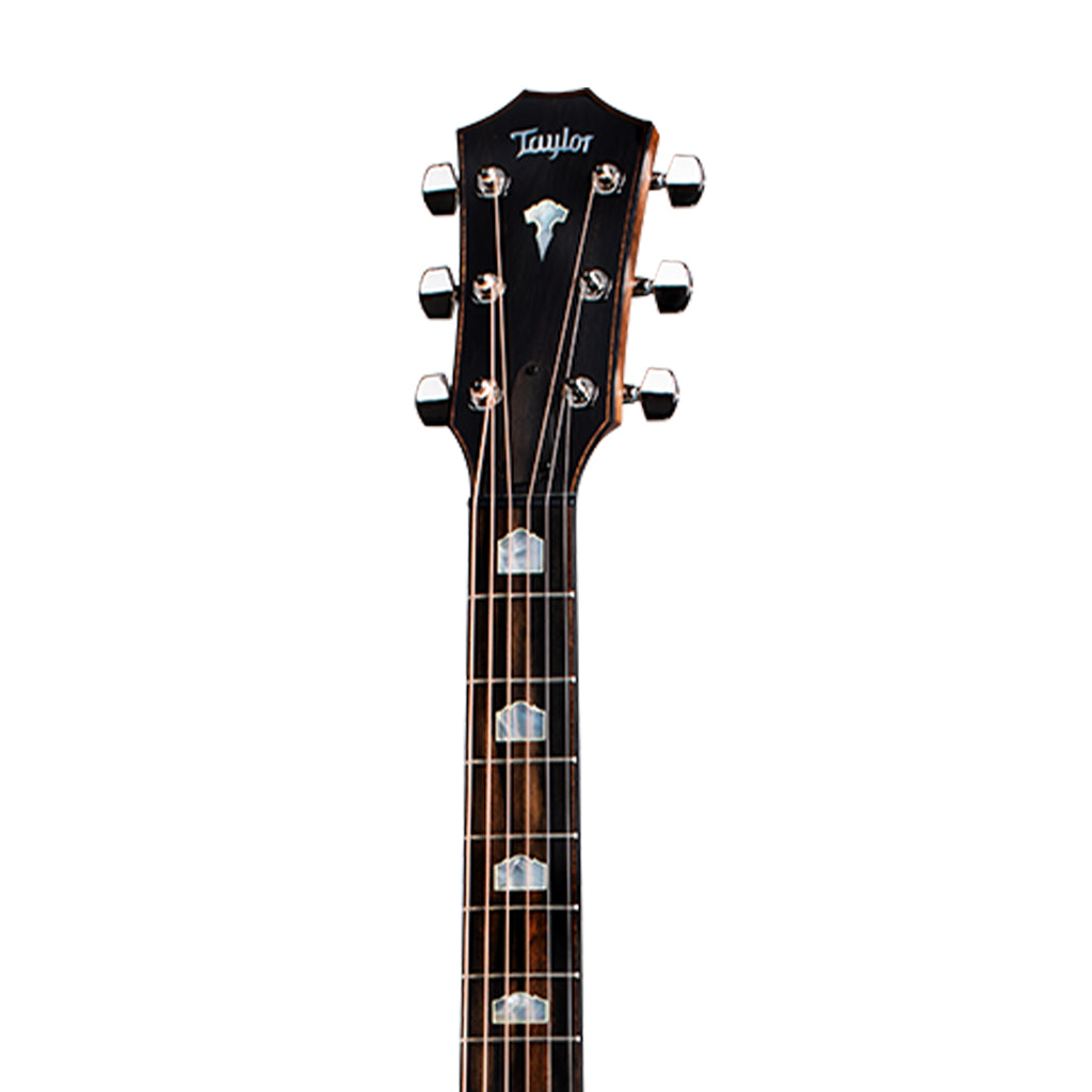 ギター Taylor 818e V-Class / Antique Blonde テイラーのジャンボボティGrand OrchestraがV-Classで登場「818e V