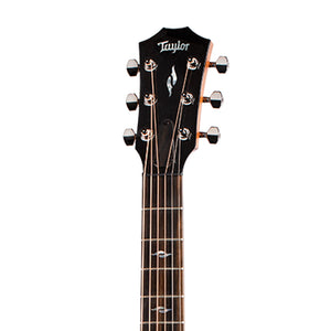 Taylor GT 811e Grand Theater Acoustic Guitar w/AeroCase, Natural