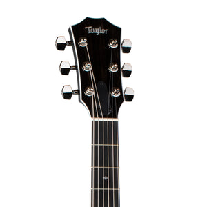Taylor T5z Standard Electric Guitar w/Case, Black